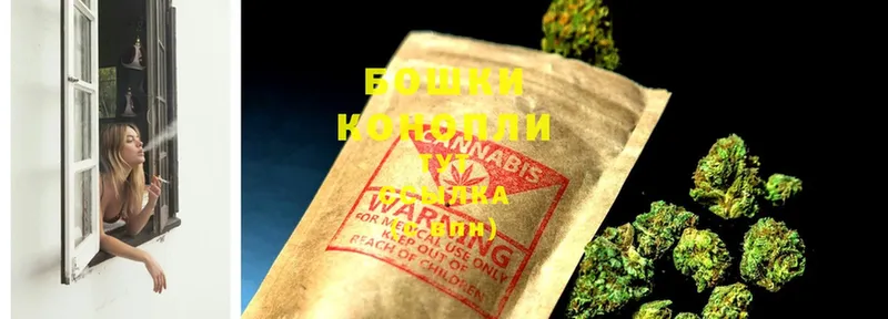 Бошки марихуана Ganja  Апатиты 